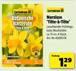 Hagebau Gartenkrone narzisse 'tête-à-tête' Angebot