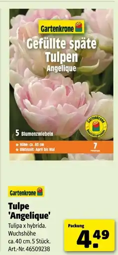 Hagebau Gartenkrone tulpe 'angelique' Angebot