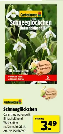 Hagebau Gartenkrone schneeglöckchen Angebot