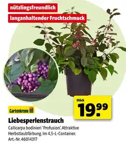 Hagebau Gartenkrone liebesperlenstrauch Angebot