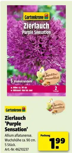 Hagebau Gartenkrone zierlauch 'purple sensation' Angebot
