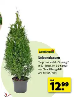 Hagebau Gartenkrone lebensbaum Angebot