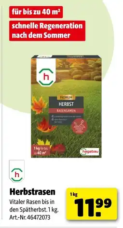 Hagebau Herbstrasen Angebot