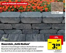 Hagebau Mr. gardener mauerstein antik medium Angebot