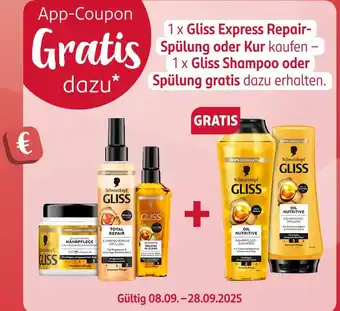 Rossmann Schwarzkopf gliss express repair-spülung oder kur Angebot