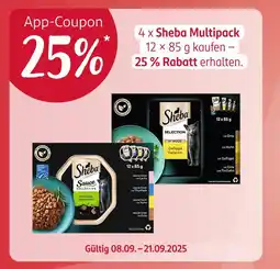 Rossmann Sheba multipack sauce collection Angebot