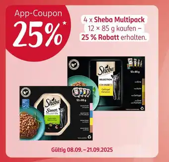 Rossmann Sheba multipack sauce collection Angebot