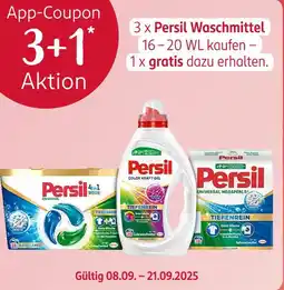 Rossmann Persil universal 4in1 discs Angebot
