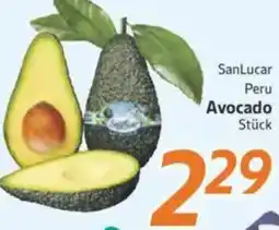 inkoop SanLucar Peru Avocado Angebot