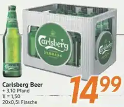 inkoop Carlsberg Beer Angebot