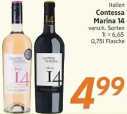 inkoop Italien Contessa Marina 14 Angebot