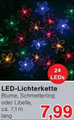 Wiglo Wunderland LED-Lichterkette Angebot