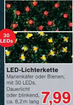Wiglo Wunderland LED-Lichterkette Angebot