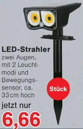 Wiglo Wunderland LED-Strahler Angebot
