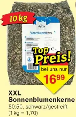 Wiglo Wunderland XXL Sonnenblumenkerne Angebot