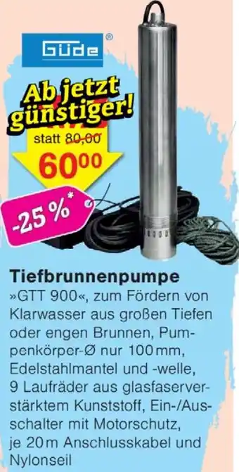 Wiglo Wunderland Tiefbrunnenpumpe Angebot