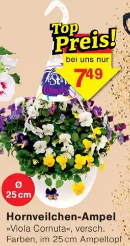 Wiglo Wunderland Hornveilchen-Ampel Angebot