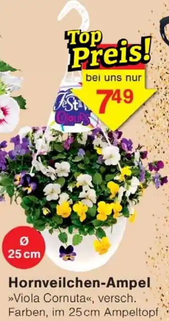 Wiglo Wunderland Hornveilchen-Ampel Angebot