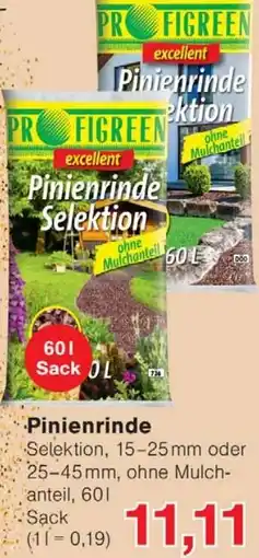Wiglo Wunderland Pinienrinde Angebot
