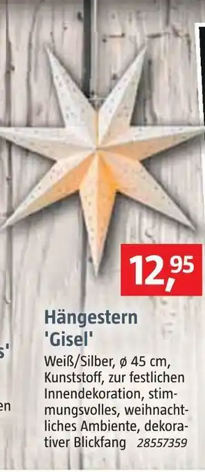 Bauhaus Hängestern 'gisel' Angebot