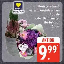 Edeka Floristenstrauß oder Bepflanzter Herbsttopf Angebot