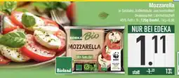 Edeka Mozzarella Angebot