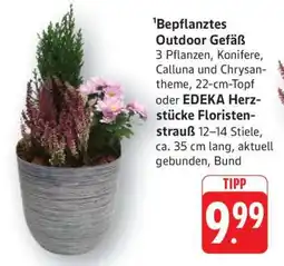 Edeka Bepflanztes Outdoor Gefäß Angebot