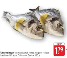 Edeka Dorade Royal Angebot