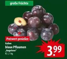 Famila Nord Ost blaue Pflaumen 'Angeleno' Angebot