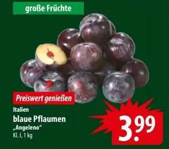 Famila Nord Ost blaue Pflaumen 'Angeleno' Angebot