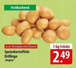 Famila Nord Ost Speisekartoffeln Drillinge 'Regina' Angebot