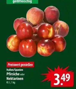 Famila Nord Ost Pfirsiche oder Nektarinen Angebot