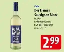 Famila Nord Ost Dos Llamas Sauvignon Blanc Angebot