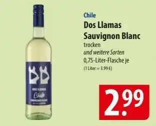 Famila Nord Ost Dos Llamas Sauvignon Blanc Angebot