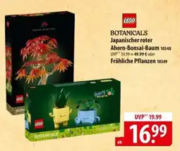 Famila Nord Ost LEGO Botanicals Angebot