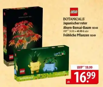 Famila Nord Ost LEGO Botanicals Angebot