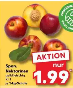 Kaufland Span. Nektarinen Angebot