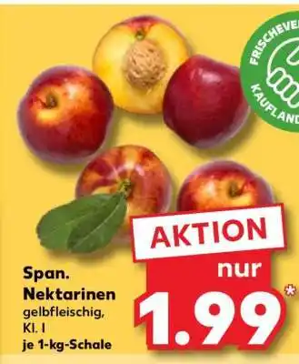 Kaufland Span. Nektarinen Angebot