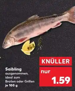 Kaufland Saibling Angebot