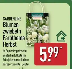 Aldi Nord GARDENLINE Blumenzwiebeln Farbthema Herbst Angebot