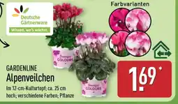Aldi Nord GARDENLINE Alpenveilchen Angebot