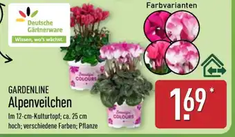 Aldi Nord GARDENLINE Alpenveilchen Angebot