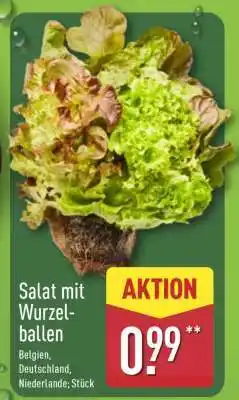 Aldi Nord Salat mit Wurzelballen Angebot