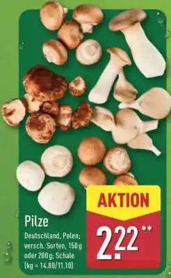 Aldi Nord Pilze Angebot