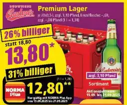 Norma Premium Lager Angebot