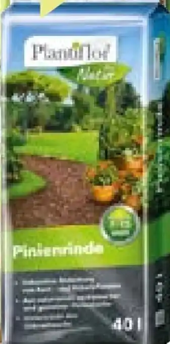 BayWa Plantiflor Pinienrinde Angebot