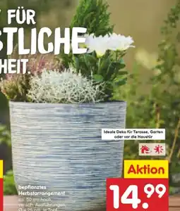 Netto Marken-Discount Herbstarrangements Angebot