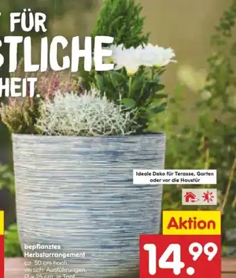 Netto Marken-Discount Herbstarrangements Angebot