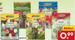 Netto Marken-Discount Garten Magie Blumenzwiebel Angebot