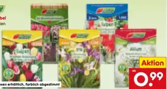 Netto Marken-Discount Garten Magie Blumenzwiebel Angebot